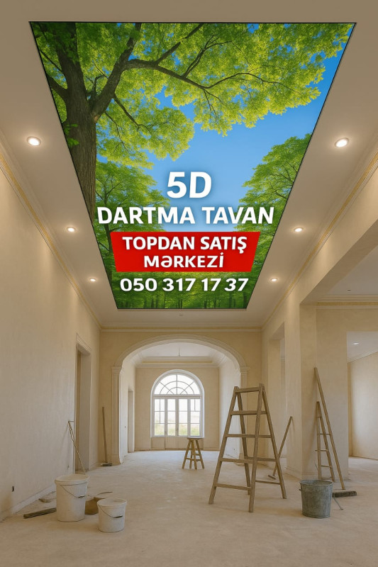 Bakı şəhərində dartma tavan və dasma tavan ustasi