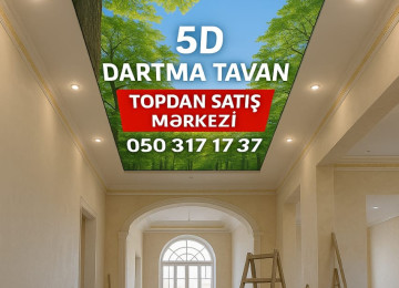 Bakı şəhərində dartma tavan və dasma tavan ustasi