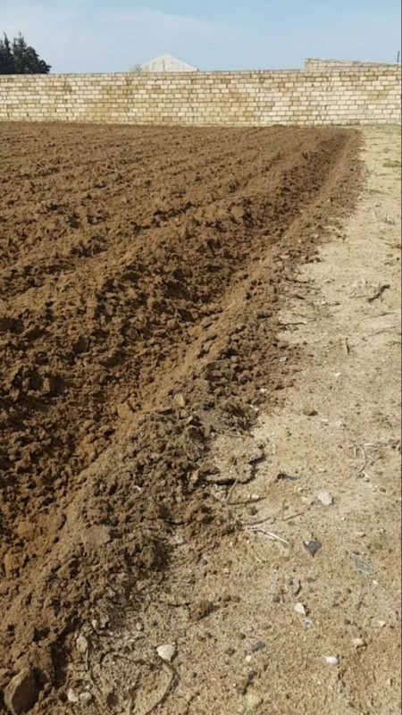 Nardaran bsğlarında seea brezde 3 km aralı 24 sot torpağ