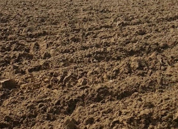 Nardaran bsğlarında seea brezde 3 km aralı 24 sot torpağ