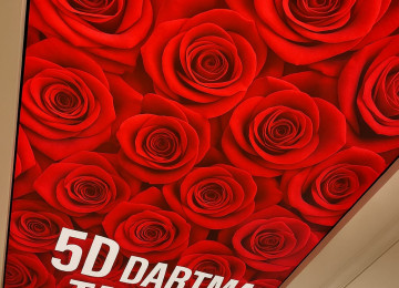 Dartma tavan dartma tavanlar topdan satış mərkəzi