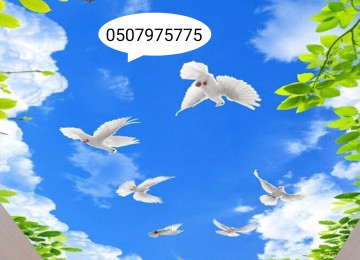 Dartma tavan dartma tavanlar 3d 5d 7d dartma tavanlar