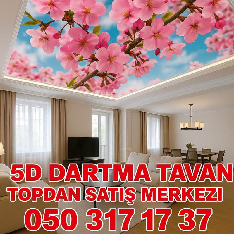 Dartma tavan 3d 5d 7d dartma tavan dartma tavanlar topdan