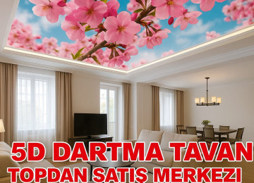 Dartma tavan 3d 5d 7d dartma tavan dartma tavanlar topdan