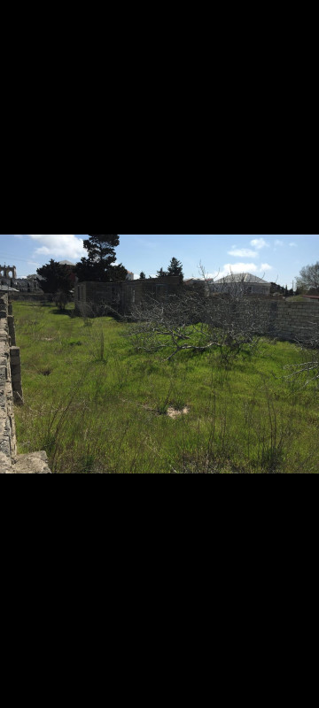 23 sotdu bilgəhtə çxarışldı