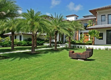 Yaşıllaşdırma işləri, qazon əkilməsi, bağbançılıq.