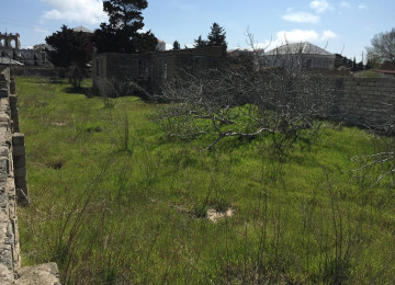 23 sotdu bilgəhtə çxarışldı