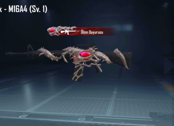 Hərkəsə salamlar gördüyünüz hesab istifadəyə yararlı