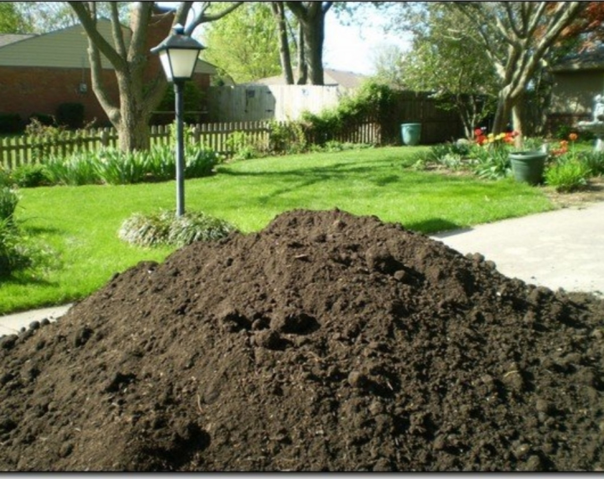 Qara meşə torpağı,kübrə əvəzi Yanmış peyin Şamaxı ,