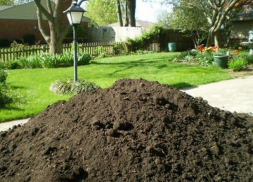 Qara meşə torpağı,kübrə əvəzi Yanmış peyin Şamaxı ,