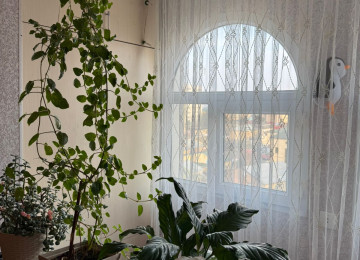 Nizami rayonu Qara Qarayev metrosuna 10 dəqiqəlik məsafədə