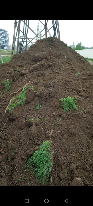 Salam əziz m&uuml;ştərilər zənginizi g&ouml;zdəyirik