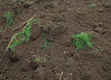 Salam əziz m&uuml;ştərilər zənginizi g&ouml;zdəyirik