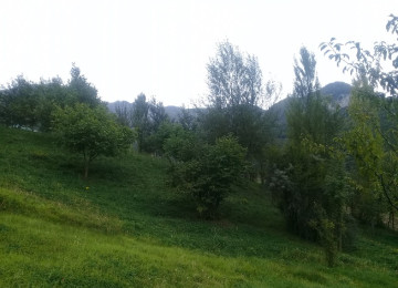 Lahıcda (İsmayıllı r-nu)çox gözəl mənzərəli və ekoloji