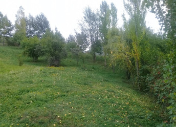 Lahıcda (İsmayıllı r-nu)çox gözəl mənzərəli və ekoloji