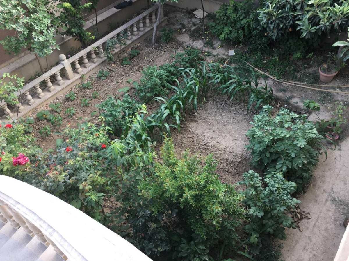 Mehdiabad qəsəbəsində, Pirşağı yolunun yaxınlığında