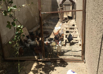 Mehdiabad qəsəbəsində, Pirşağı yolunun yaxınlığında