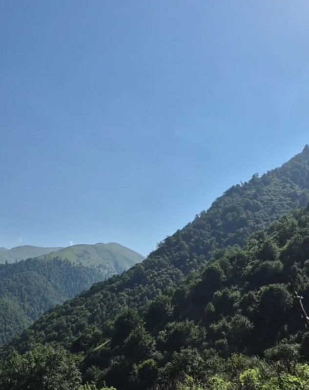 Qəbələ rayon zarağan kəndində kənd təsərfatı torpaq satlır