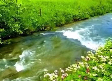 Qəbələ rayon zarağan kəndində kənd təsərfatı torpaq satlır
