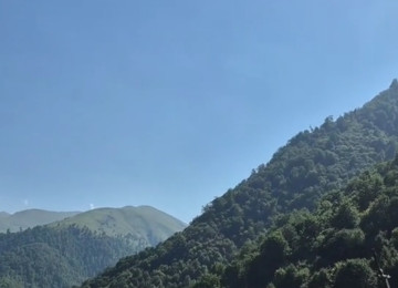 Qəbələ rayon zarağan kəndində kənd təsərfatı torpaq satlır