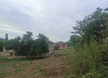 Quba rayonu Qorxmazoba kəndində ümumi sahəsi 0.42 ha (42