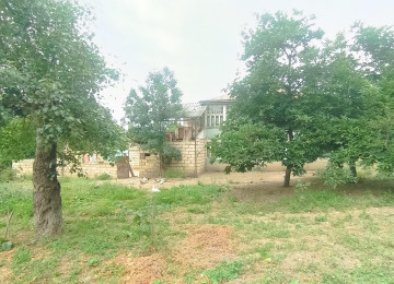 Quba rayonu Qorxmazoba kəndində ümumi sahəsi 0.42 ha (42