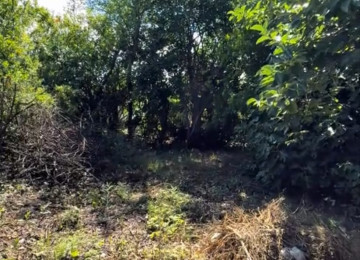 Bərdə rayonu Cəyirli kəndində 7 sot torpaq satılr. Sənədi
